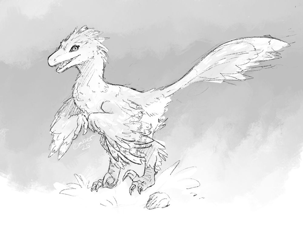 black and white sketch of a deinonychus