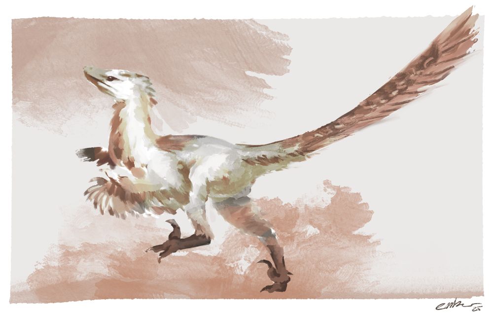 A rough digital painting of a velociraptor using coffee-like tones 
