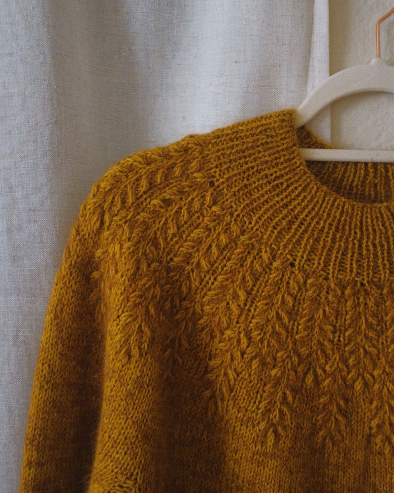 Close up of sweater on a hanger: featuring the shoulder with a detailed view of the textured wheat grains
