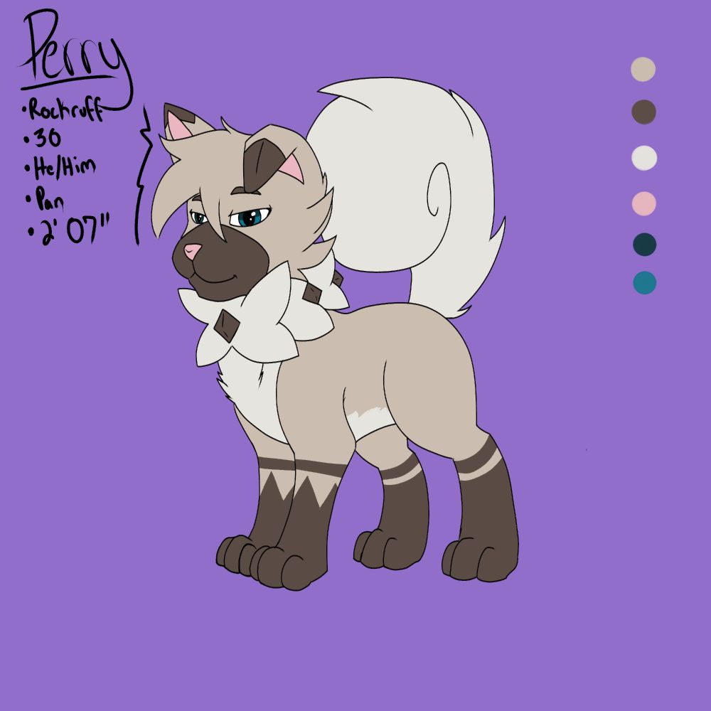 New ref for Perry the rockruff. His age is 30, pronouns are He/Him, sexuality is pan, his size is 2' 07". 