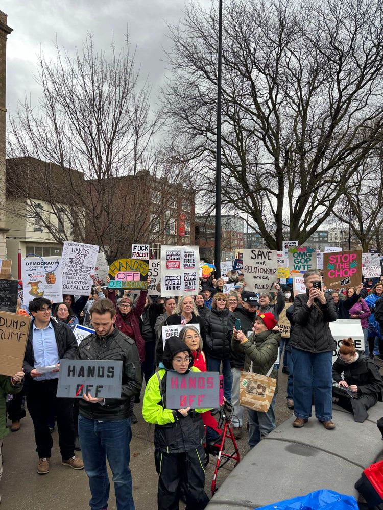 Crowd shot 2