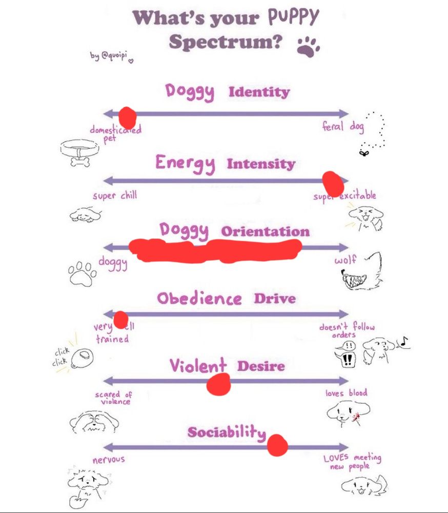 A series of linear scales under the label "What's your puppy spectrum?". Text on the image attributes it to "@quoipi". The first scale is "Doggy Identity", which has "domesticated pet" on one end and "feral dog" on the other. This scale is marked at the "domesticated pet" end. The next scale is "Energy Intensity", and has "super chill" at one end and "super exciteable" at the other. This scale is marked at the "super exciteable" end. The next scale is labeled "Doggy orientation", and has "doggy" at one end and "wolf" at the other. This scale is marked in a wide swath from "doggy" to "wolf", implying a fluidity between the two states. The next scale is "obedience drive", and has "very well trained" at one end and "doesn't follow orders" at the other. This scale is marked at the "very well trained" end. The next scale is labeled "Violent desire", and has "scared of violence" at one end, and "Loves blood" at the other. This scale is marked in the middle between the two ends. The final scale is labeled "sociability", and has "nervous" at one end and "LOVES meeting new people" at the other. This scale is marked roughly one third of the way down from the "LOVES meeting new people" mark. 