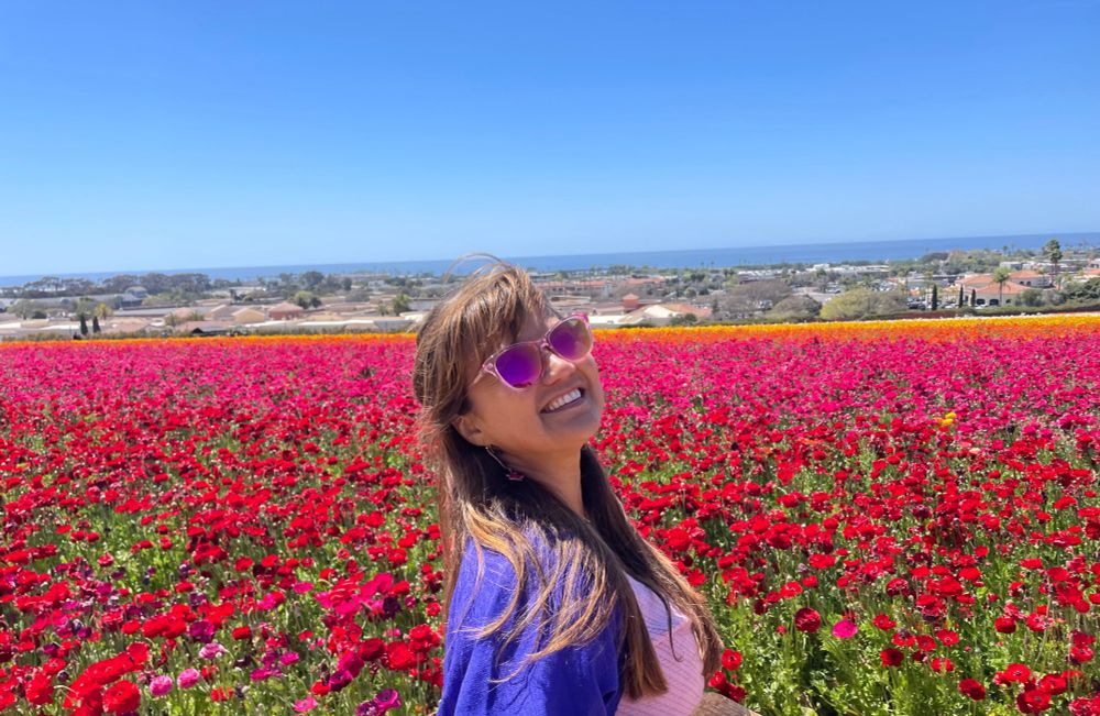 Carlsbad Flower Fields