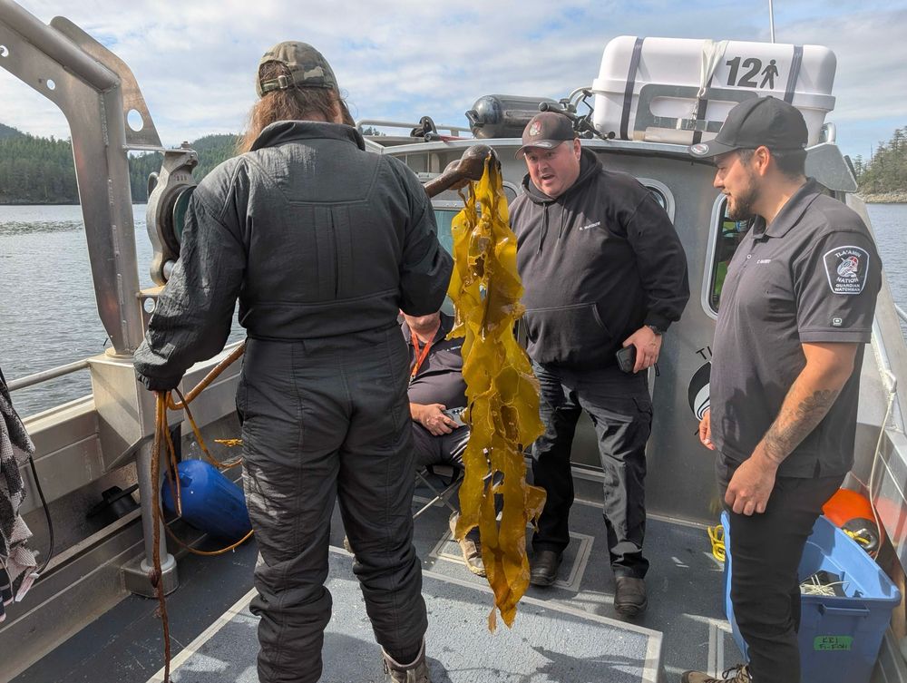 Group standing around on the boat deck looking at bull kelp