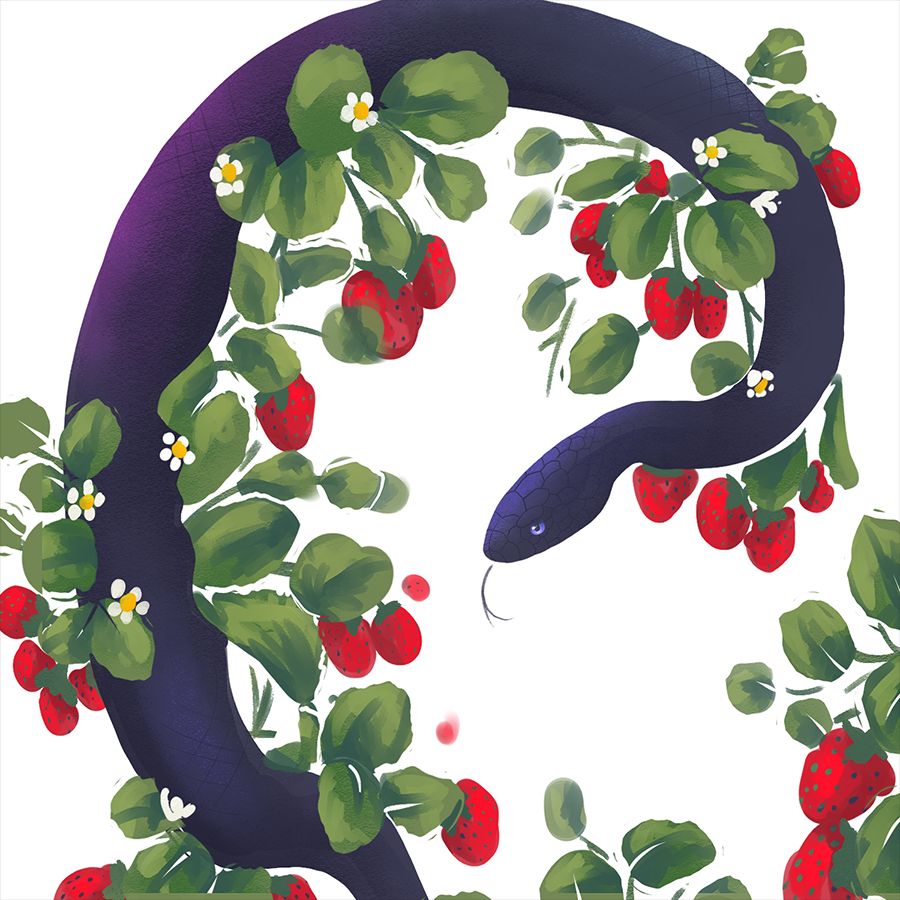 digital art, black snake coiled in strawberry plants.