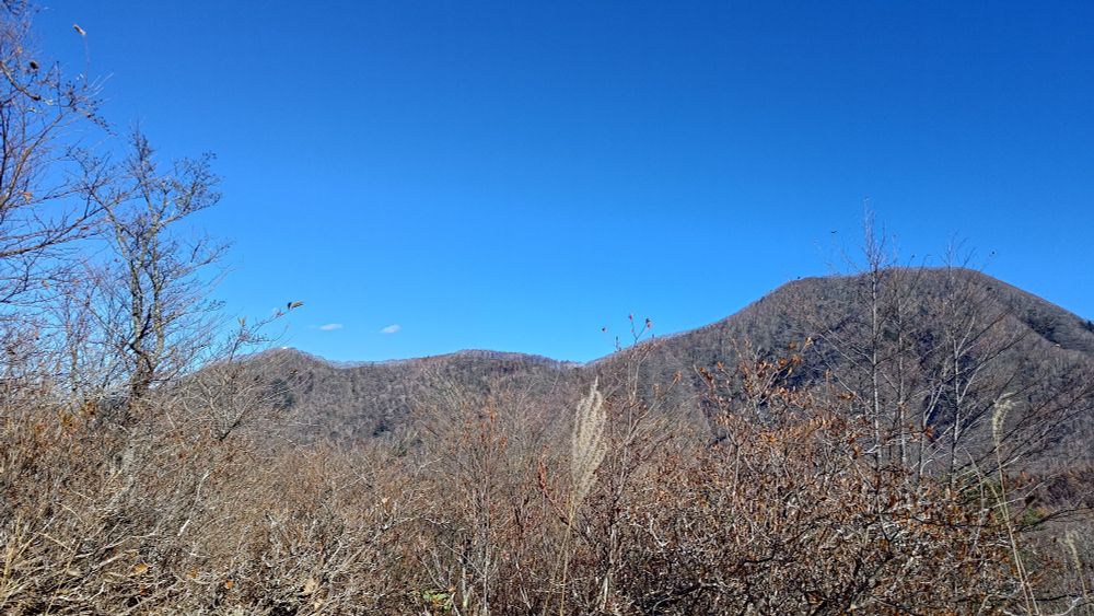 五輪峠の直前陣笠山辺りから黒檜山を見る
小黒檜、爺黒檜、黒檜山と以前歩いた稜線が見える