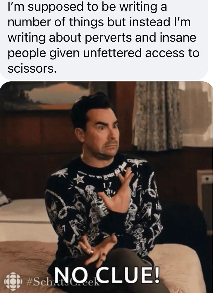 A screenshot of a Facebook post that reads, “I’m supposed to be writing a number of things but instead I’m writing about perverts and insane people given unfettered access to scissors.” Beneath the text is an image of David from Schitts’s Creek, gesturing emphatically in confusion while the overlay text reads, “NO CLUE!”