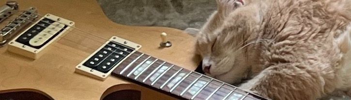 cat sleeping against guitar