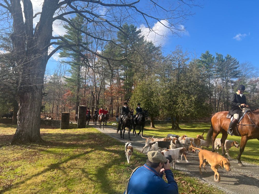 Foxhounds are very interested in @eschneider and his camera while the huntsmen (gander neutral) try to keep them on the trail. 