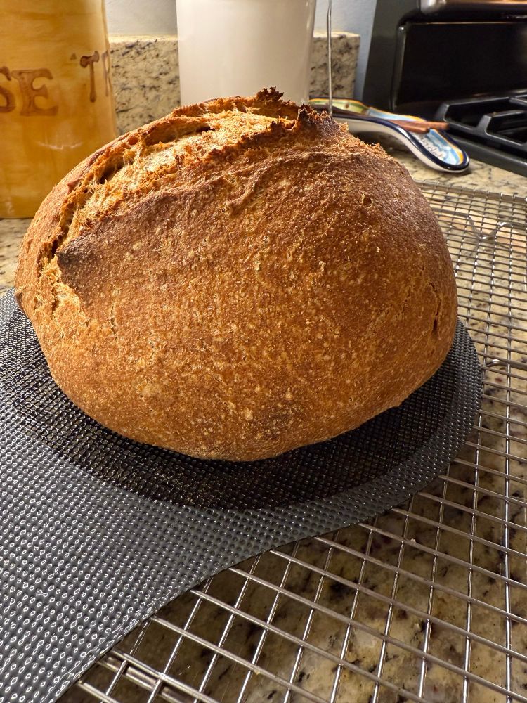Fresh milled flour sourdough boule.