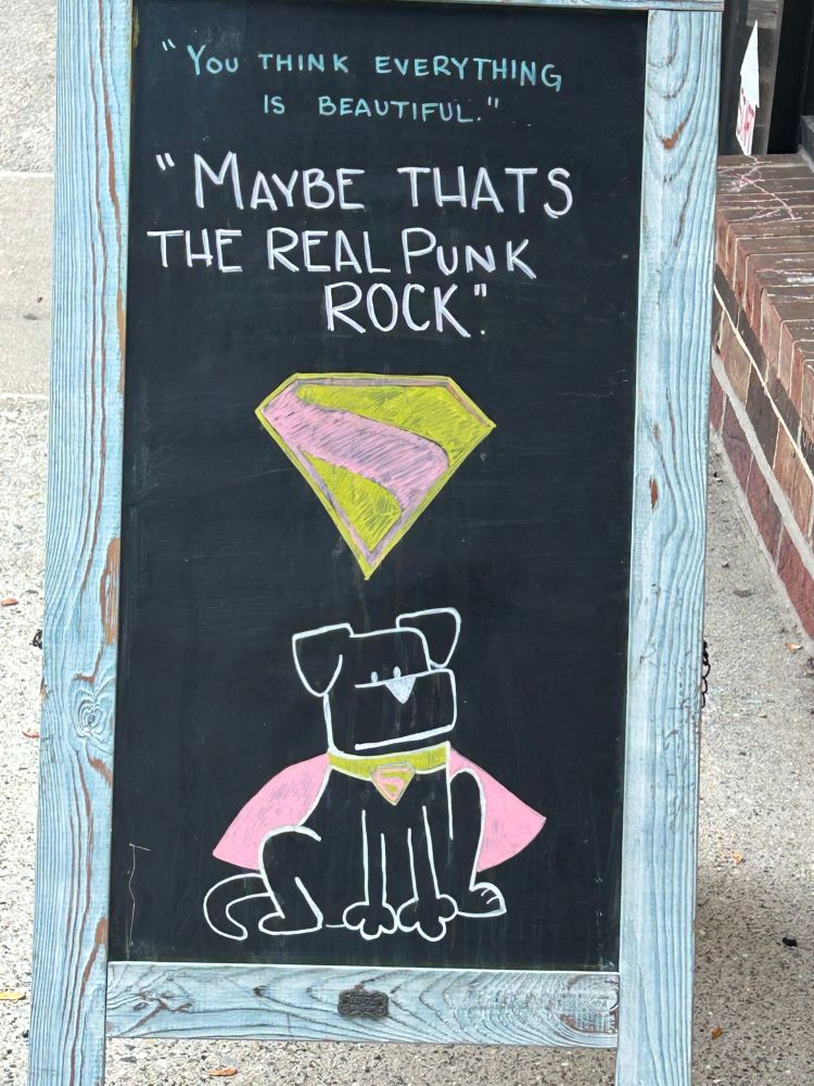 Sign outside of Booksweet bookshop with Superdog cartoon that says: 