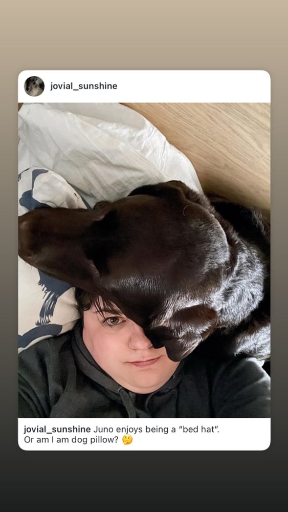 A woman laying in bed, look up from under a chocolate Labrador Retriever laying on her head.
