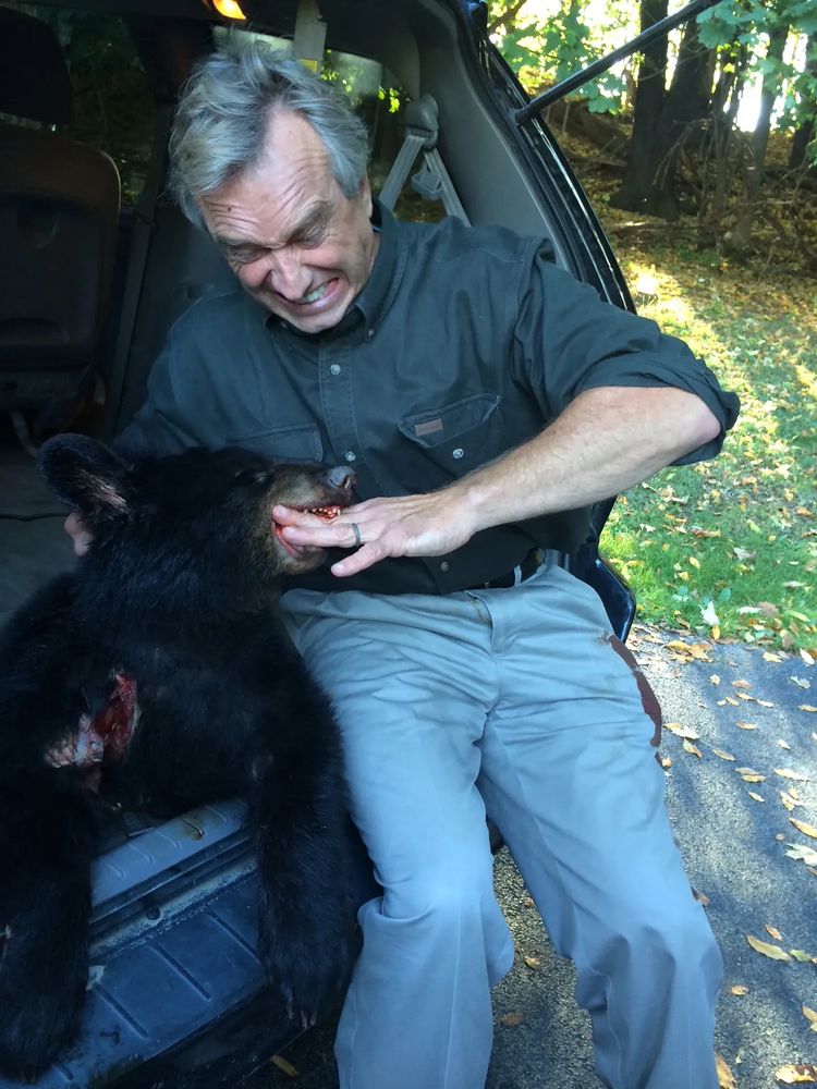 RFK Jr plays with a dead bear cub. 