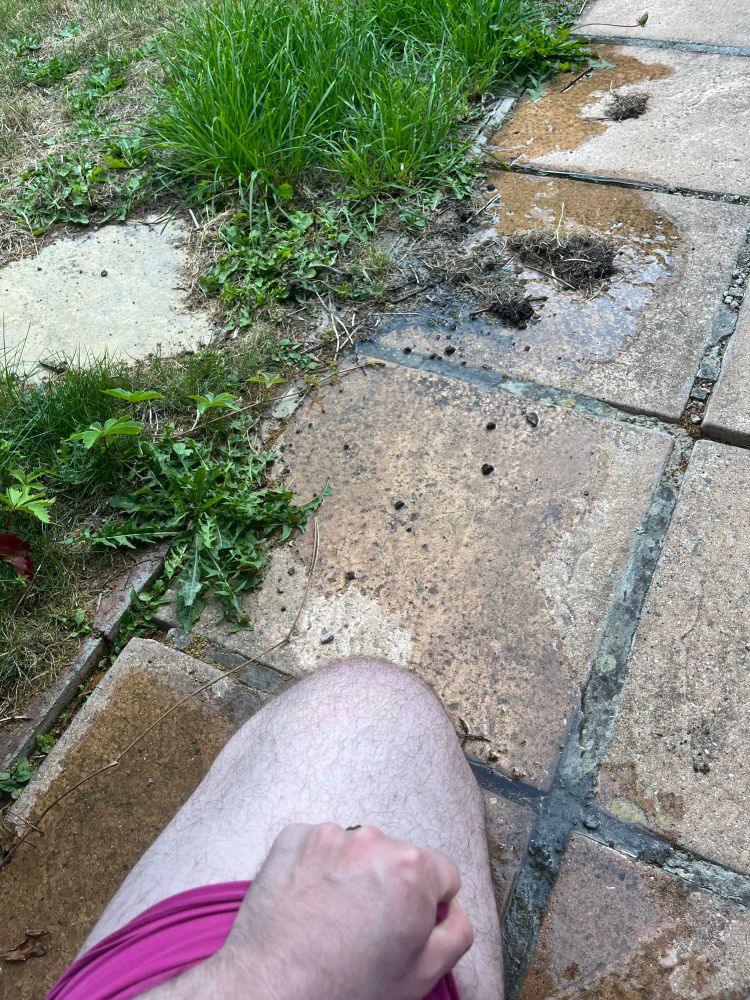 one thigh and a big puddle on the patio