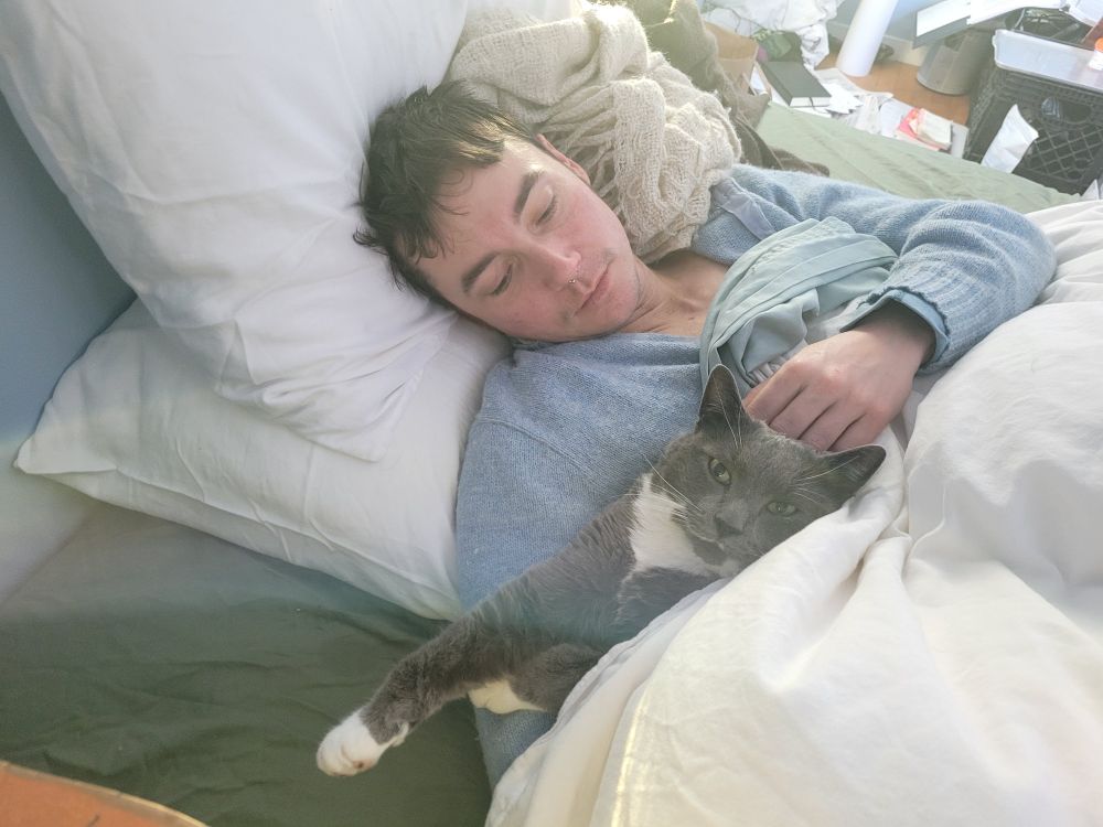 a person is propped up on pillows in bed looking at a grey and white cat lying on his arm.  the cat is looking squinty-eyed at the camera.