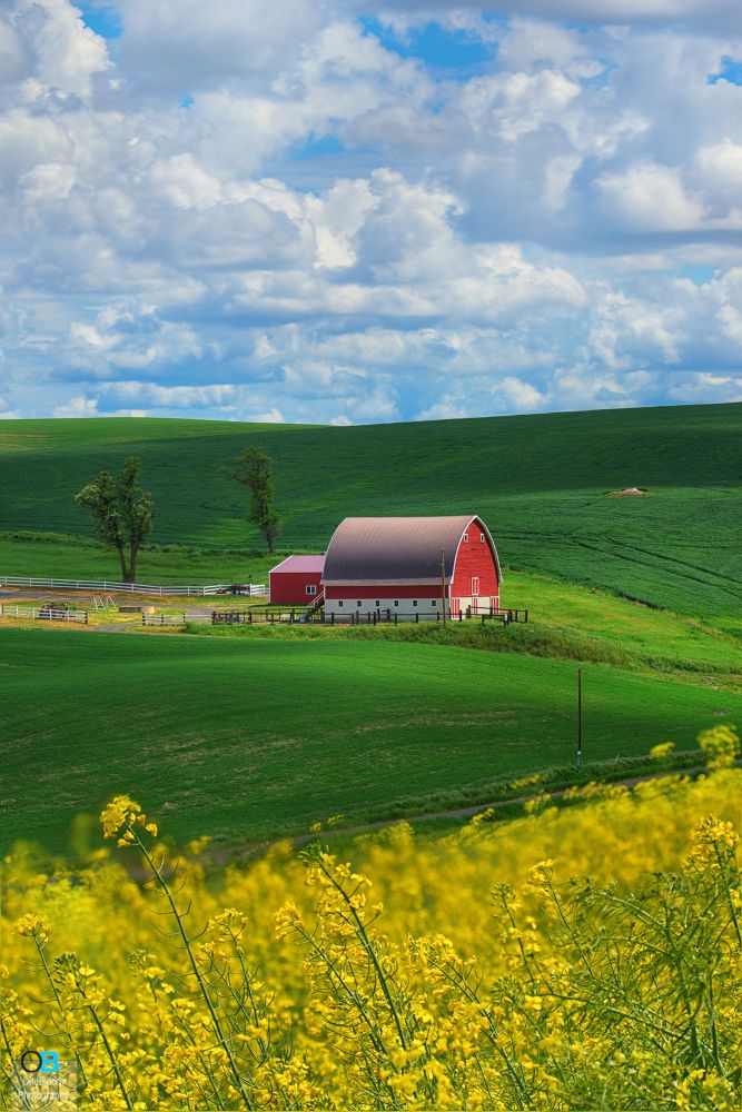 A serene rural landscape featuring a vibrant red barn set against rolling green fields. The early morning light casts a warm glow over the scene, highlighting the natural beauty of the countryside. This picturesque view captures the essence of peaceful country living and the charm of rustic farm life.