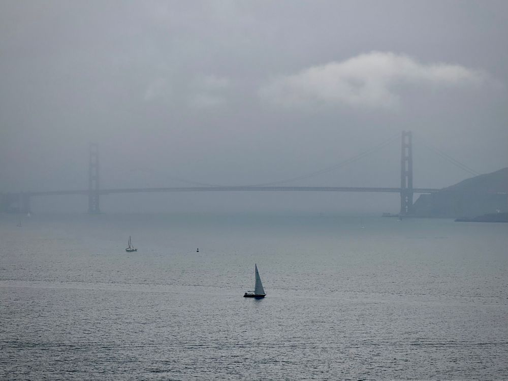 A few sailboats in the San Francisco bay with the Golden Gate Bridge in the background. 