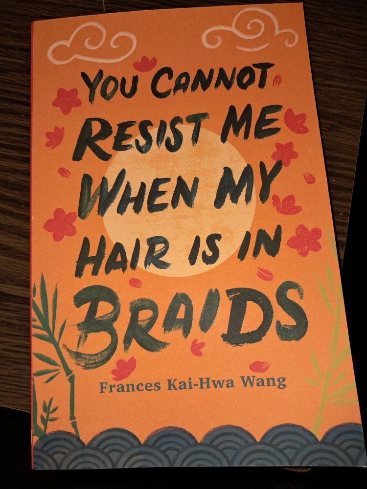 Cover of YOU CANNOT RESIST ME WHEN MY HAIR IS IN BRAIDS by Frances Kai-Hwa Wang