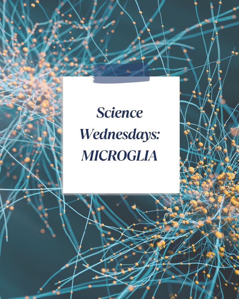 3D rendered image of neuron cell network on black background. Microglial cells are visible. The text reads: Science Wednesdays-Microglia. 