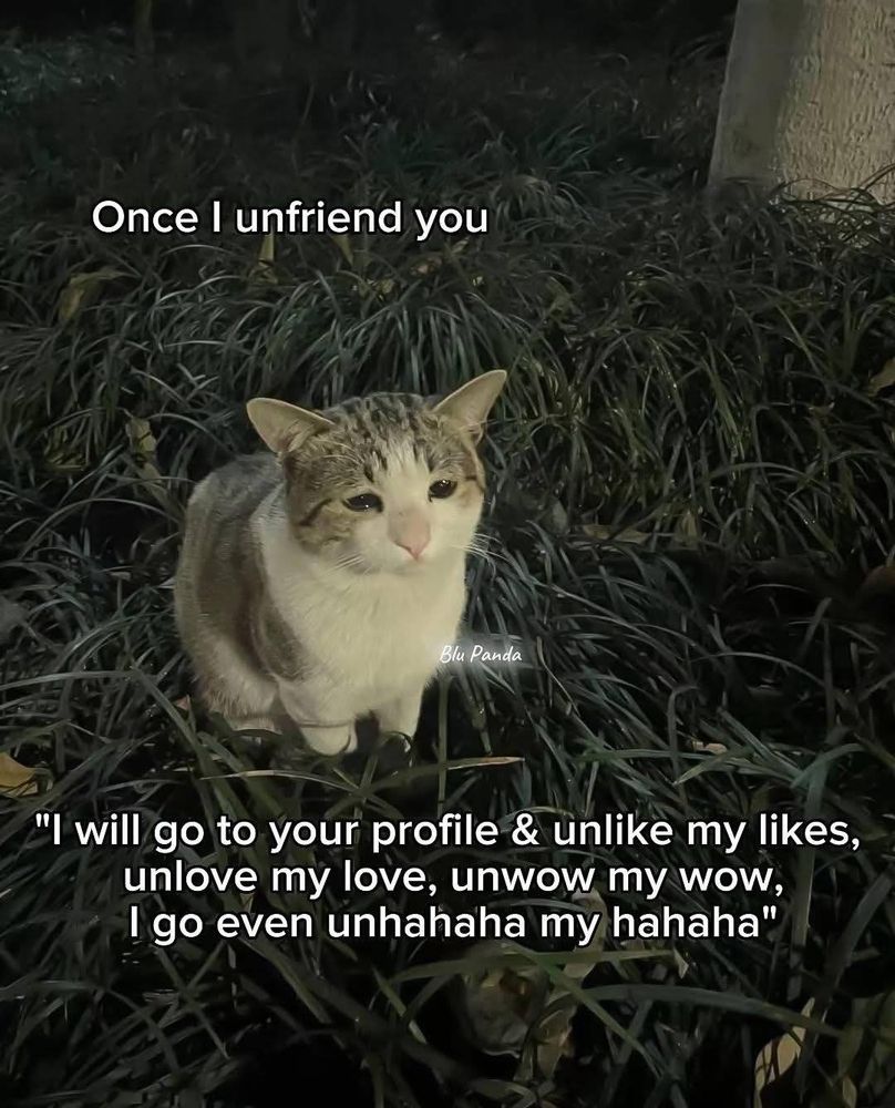 A picture of a sad-looking cat, with the following text:

Once I unfriend you I will go to your profile & unlike my likes, unlove my love, unwow my wow, I go even unhahaha my hahaha