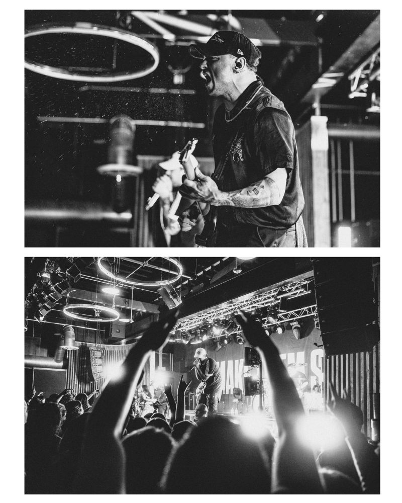 Make them suffer concert photo collage