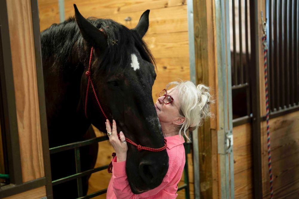 Cap, an 18-year-old Percheron, relaxes in the embrace of Jude Ball in the Horse Headquarters during the Erie County Fair at the Hamburg Fairgrounds in Hamburg, August 7, 2025. Ball, who is originally from the Western New York area, said she returns to the fair from California every year to see Cap. (Libby March/Buffalo News)