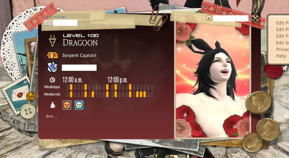 My adventurer plate in FFXIV.