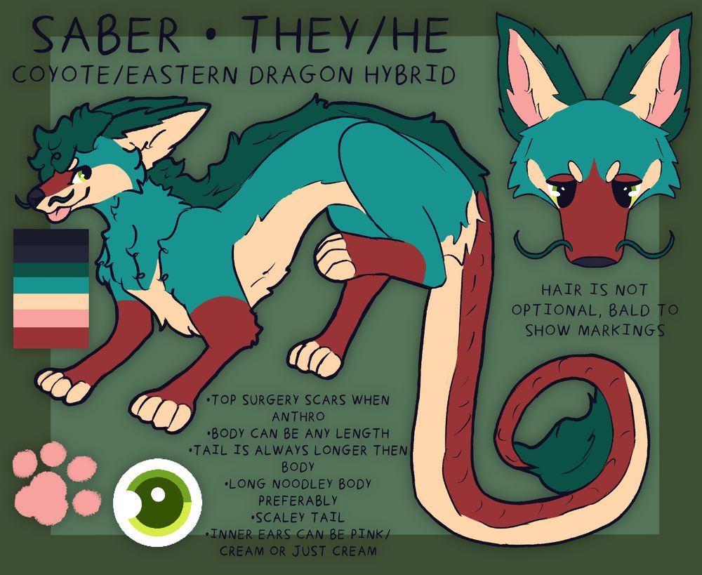 A simple reference of a wingless, long bodied hybrid between a coyote and a eastern dragon. The ref includes one full body, one symmetrical headshot, a pallette, paws, and an eye. The text reads: "Saber. They/He. Coyote/Eastern Dragon Hybrid. Hair is not optional, bald to show markings (under symmetrical headshot, which lacks the character's hair). Top surgery scars when anthro. Body can be any length. Tail is always longer then body. Long noodley body preferably. Scaley Tail. Inner ears can be pink/cream or just cream." The character is a foresty greenish blue, with a darker mane and ears. His eyes are green, nose black, and tongue/paws pink. His toes, underbelly, chest, inner ears, and lower face are cream. He has dark green whiskers. His upper tail is red with a tufted dark green tail tip. His lower legs and upper muzzle are also green.