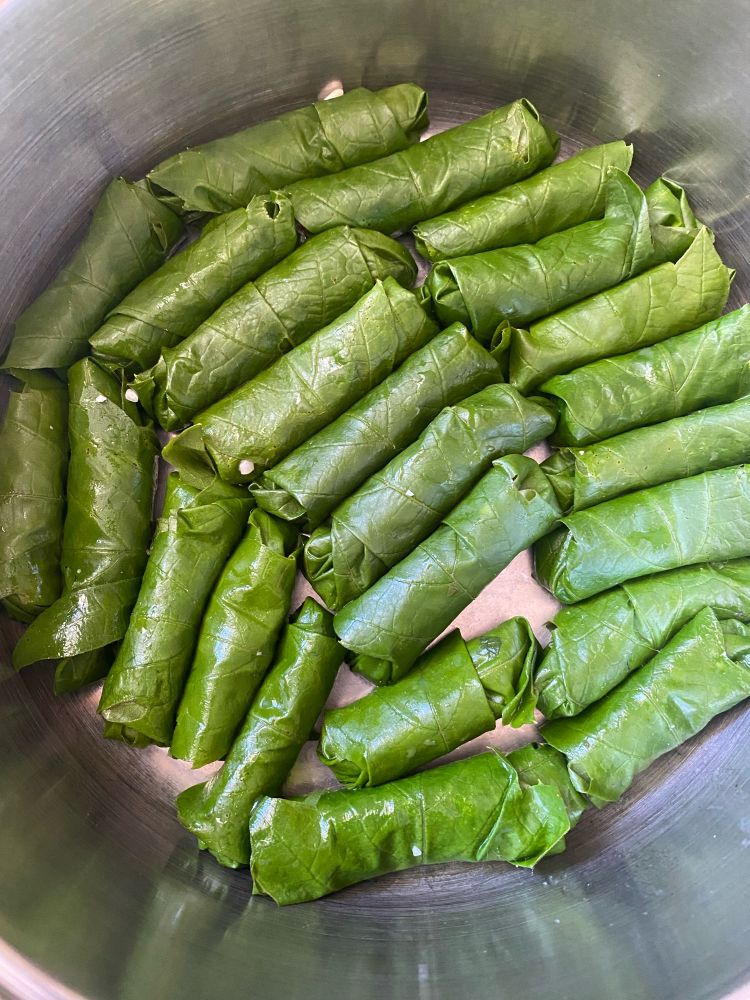 Frische Weinblätter gewickelt im
Topf.
