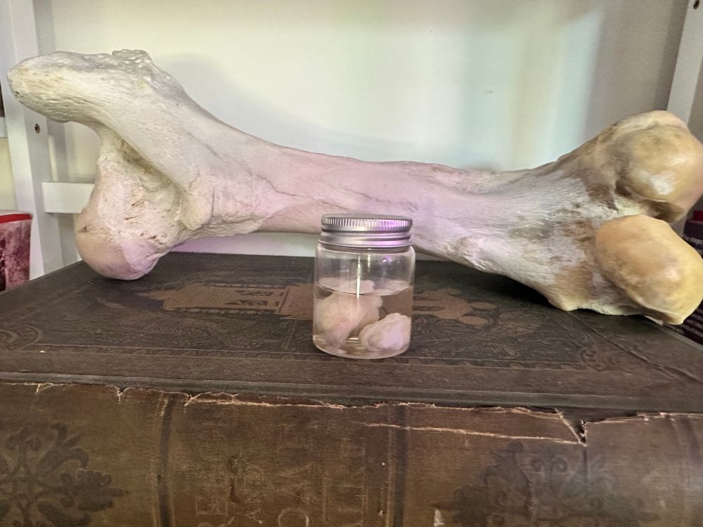 My testicles in a jar beside a giant femur