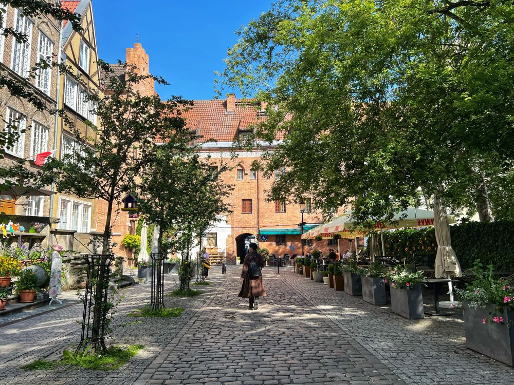 Quiet pedestrian street with no curbs but pavers with different colors and textures to suggest the sidewalk and roadway portions of the street. There are new trees on the left and mature trees on the right, providing shade to a cafe terrace. Gdansk, Poland. There is a person in the center of the street. Photo by me, taken a few minutes ago. Currently, I’m sitting on a bench outside a tap house tasting Polish craft beers. I have a taster size glass of Baltic Porter, DIPA, and IPA. Overall, they are pretty good. Generally less sweet than the equivalents I might find in Seattle. I can hear lots of conversations in every direction, mostly in Polish or some other Slavic language but also other languages. I just started sipping the beers so I’m not tipsy but I’m enjoying watching the people walk by. 