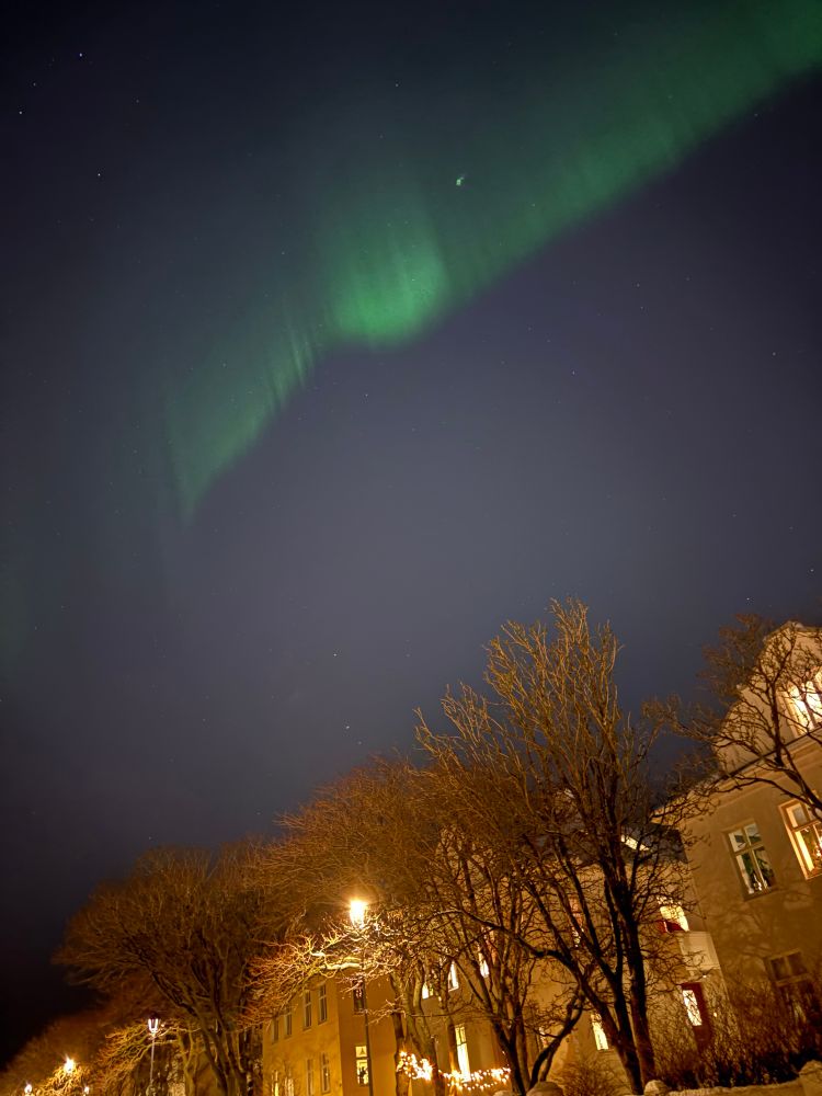 A view of my street with northern lights in the sky