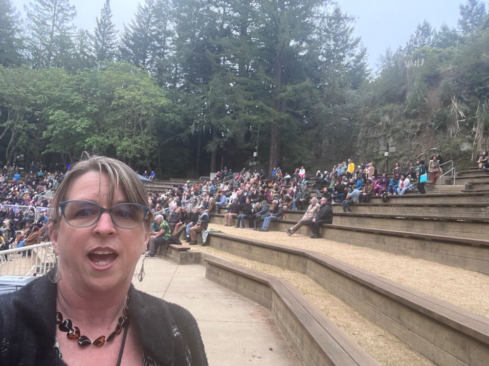 The seats as they fill up.  A crowd in the background, people seated on risers in the Forrest. 