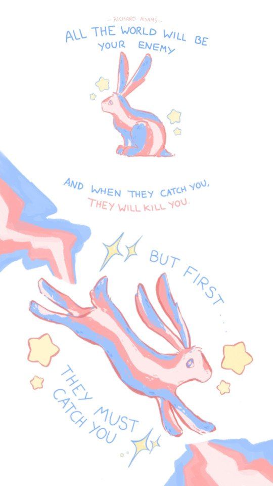 In the upper half of the image, a lone trans coloured hare sits in the middle of the screen. blue text around it quotes Richard Adams and says the following: "All the world will be your enemy, and when they catch you they will kill you". In the lower half, the hare is running leaving a trans flag in its trail. stars and sparkles surround it, as well as more blue text saying "but first... they must catch you"