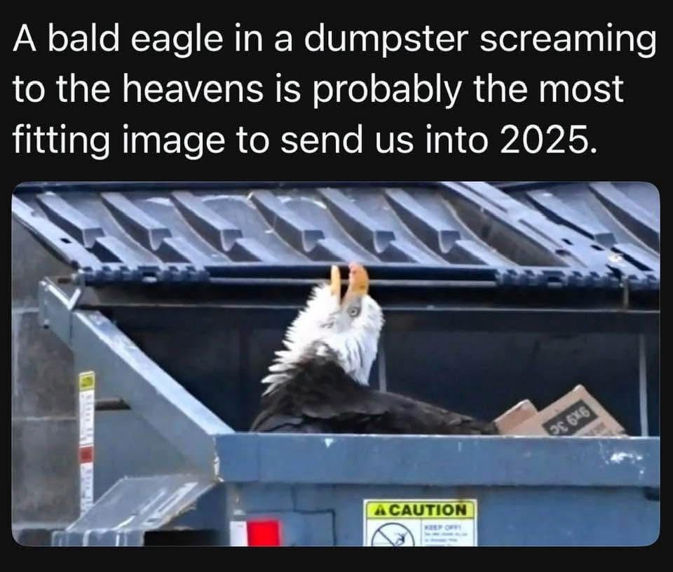 A bald eagle in a dumpster screaming to the heavens is probably the most fitting image to send us into 2025.