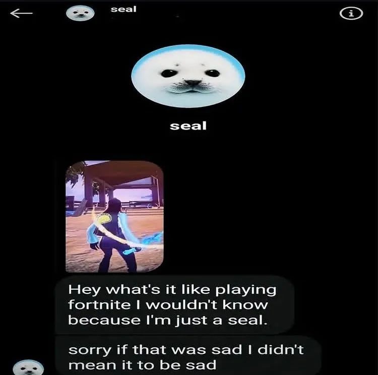 seal replying to an instagram story in DMs to a fortnite screenshot:
- hey what's it like playing fortnite i wouldn't know because i'm just a seal
- sorry if that was sad i didn't mean it to be sad