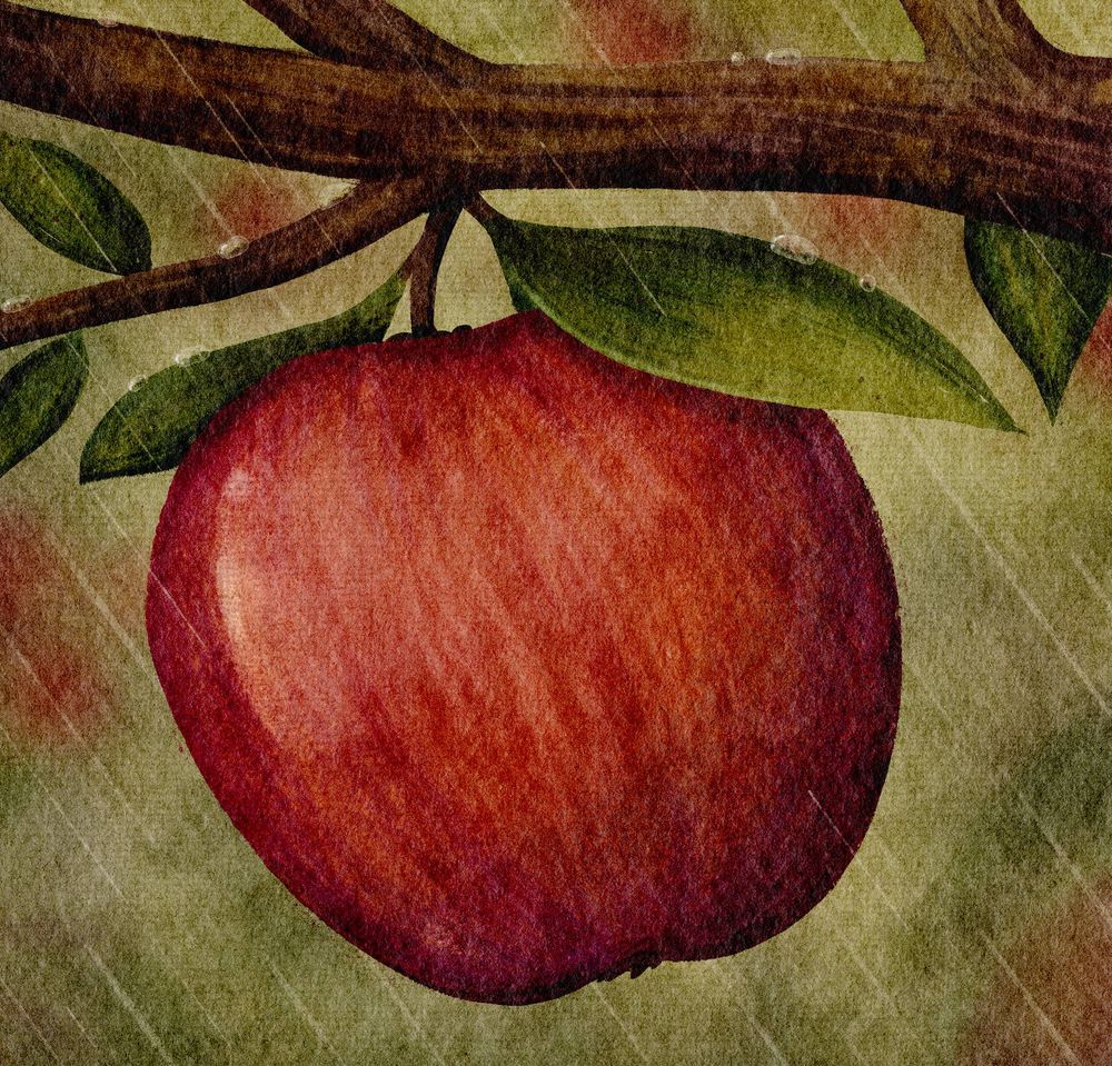 Digital gouache painting of a red apple swaying in the rain. 