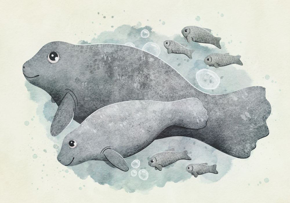 A manatee mom, her calf and five fishes in shades of grey on a watercolor backdrop. Drawn with procreate / digital watercolor. 