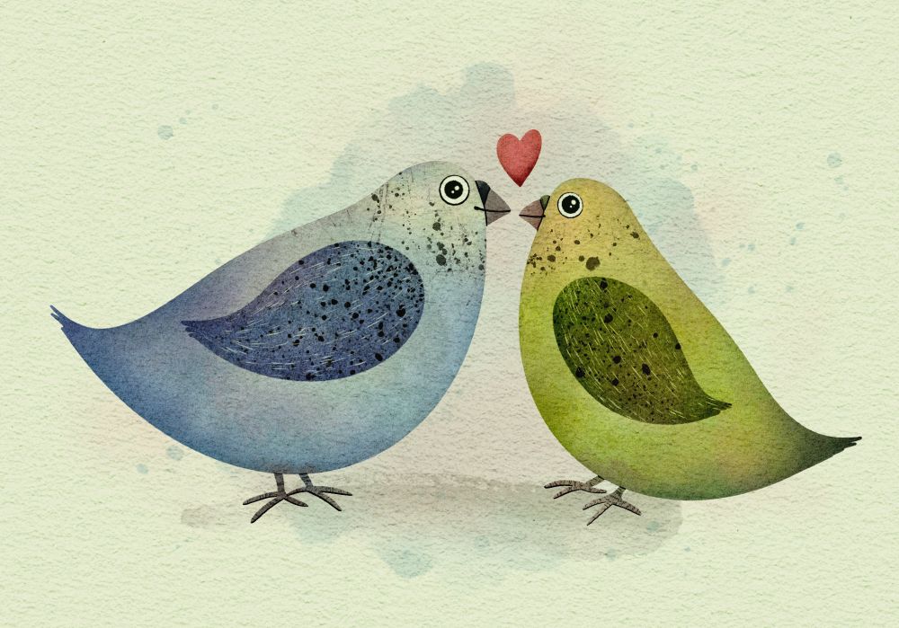 A blue and a green budgerigar looking at each other lovingly, drawn in procreate using watercolor brushes. 