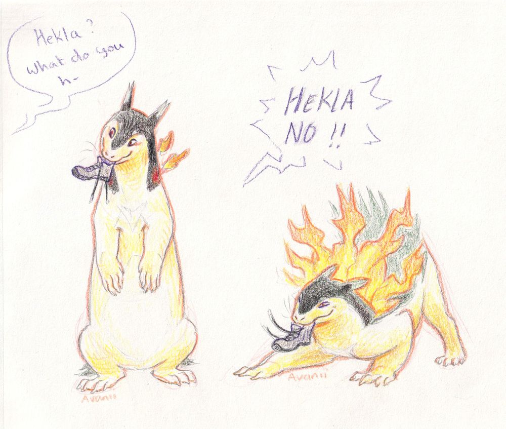 Two coloured pencil drawings. On the left side a typhlosion stands up with a mischievous expression and a shoe in its mouth. On the right side the typh has dropped into a low playful pose, with an even more mischievous look on its face and its flames out, still holding the shoe. Clearly teasing someone out of view. 