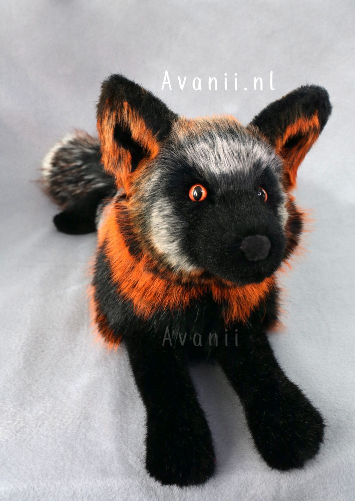 Photo of a plush cross fox facing the camera. It is grey, black and fiery orange, with bright copper eyes. 