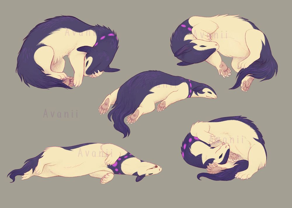 Five coloured drawings of hisuian typhlosions in various sleeping poses, drawn in semi realistic style. 