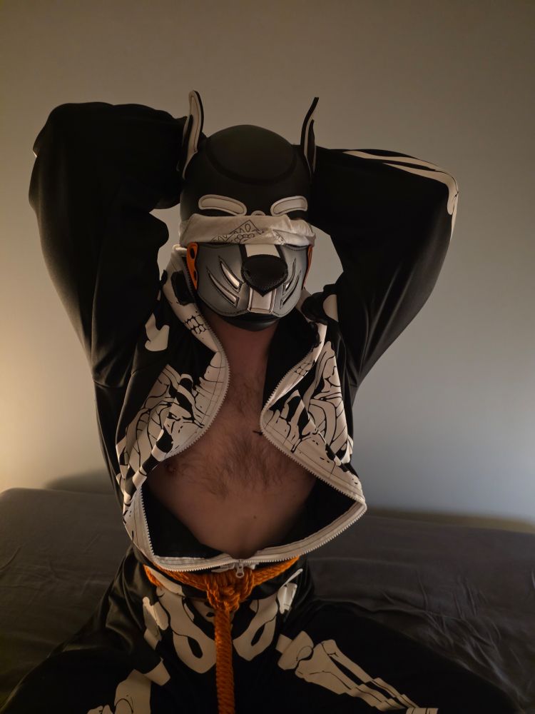 A blindfolded human pup in a skeleton onesie tied with orange shibari rope, with his chest exposed