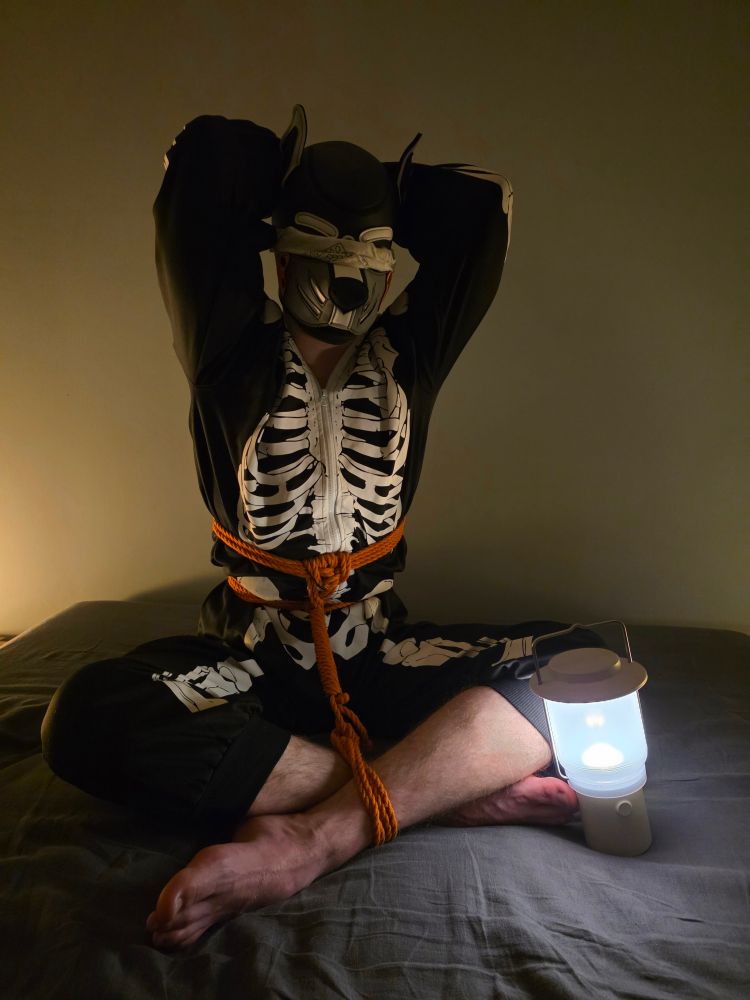 A blindfolded human pup in a skeleton onesie tied with orange shibari rope, with a lantern beside them