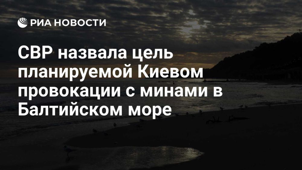 СВР назвала цель планируемой Киевом провокации с минами в Балтийском море
