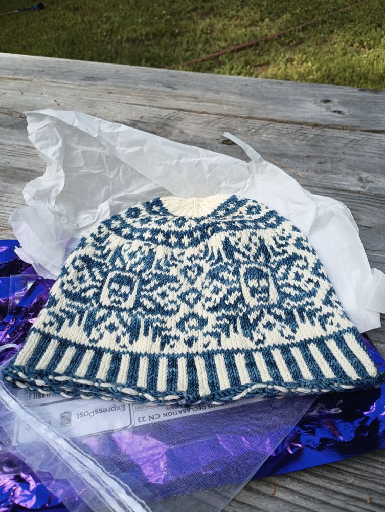 Blue and white hat with two skulls