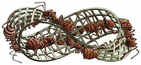 Ants in a Moebius Strip
