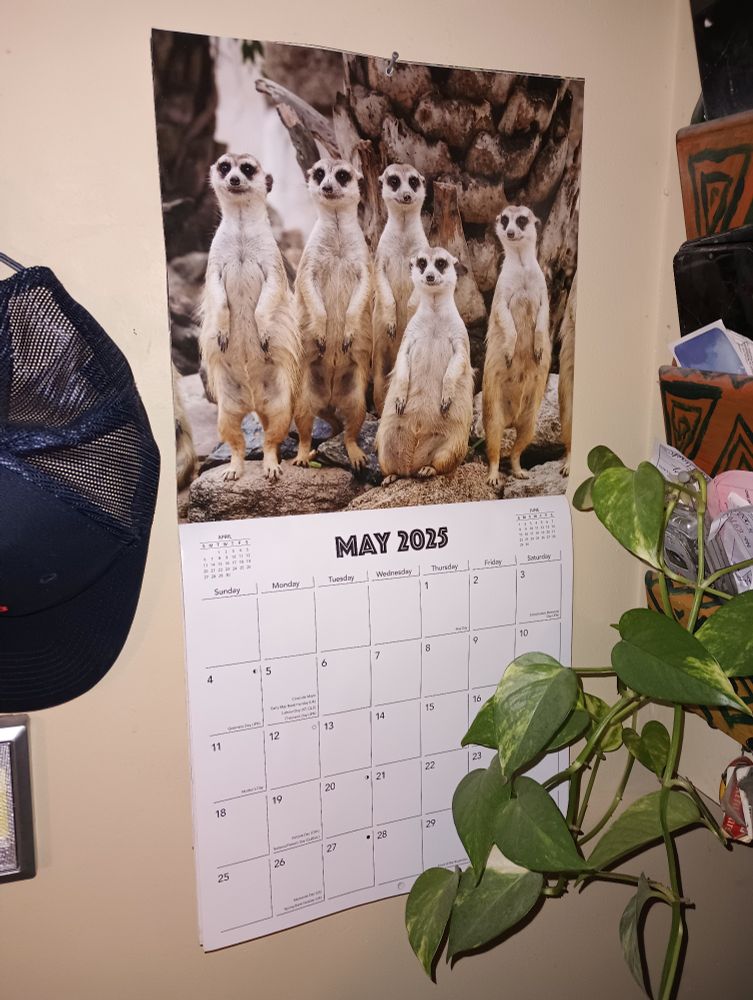 Calendar showing month of May