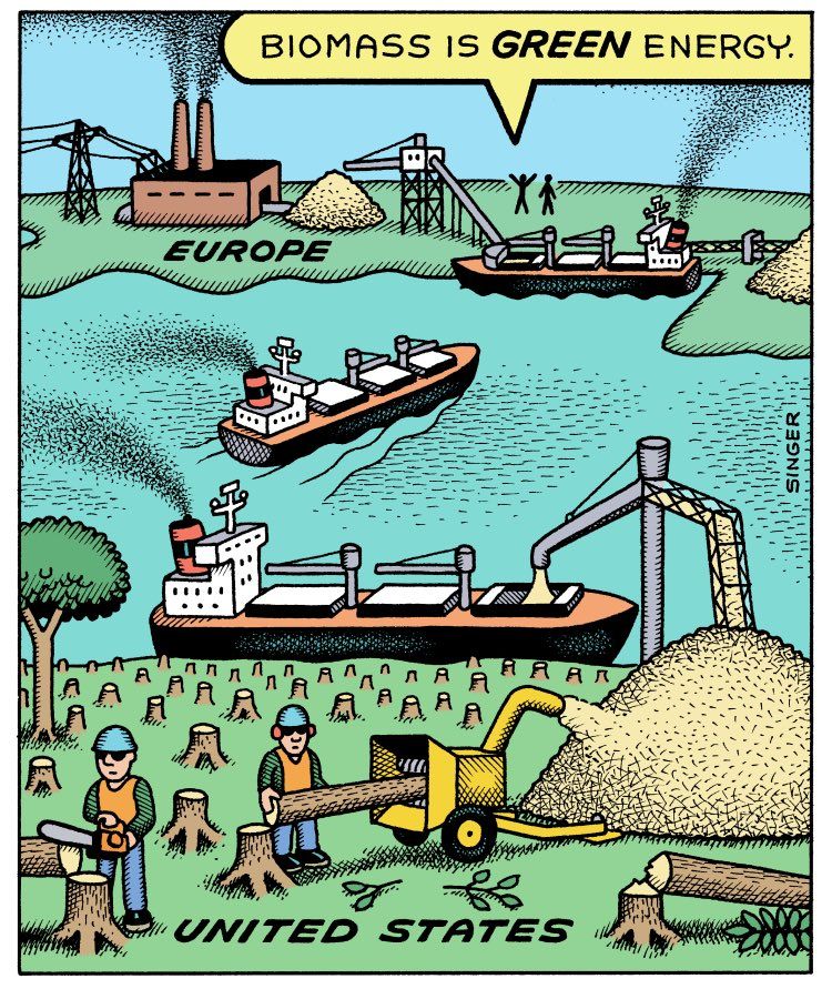 a comic showing american forests being cut down to power biomass plants in Europe