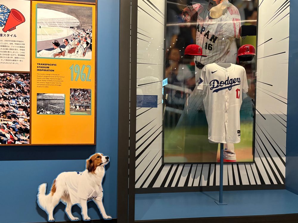 Shohei Ohtani‘s dog, Decoy